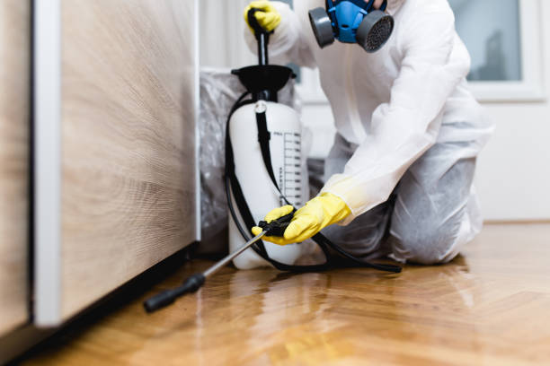 Professional Pest Control in Capitol View, SC