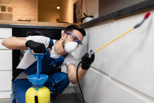 Best Pest Control for Restaurants  in Capitol View, SC
