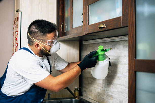 Best Wildlife Control Services  in Capitol View, SC