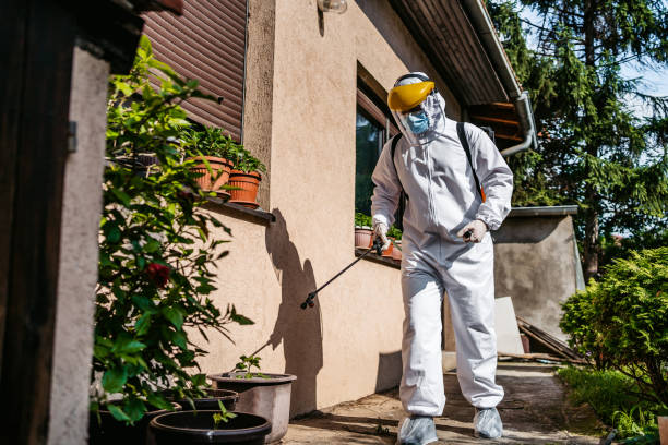 Best Termite Control Services  in Capitol View, SC