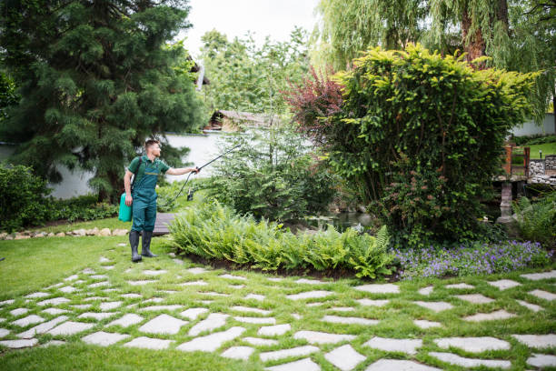 Best Pest Removal Services  in Capitol View, SC