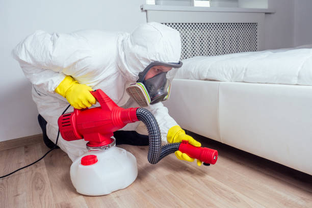 Flea Control Services in Capitol View, SC