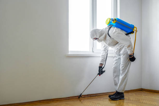 Best Commercial Pest Control Services  in Capitol View, SC