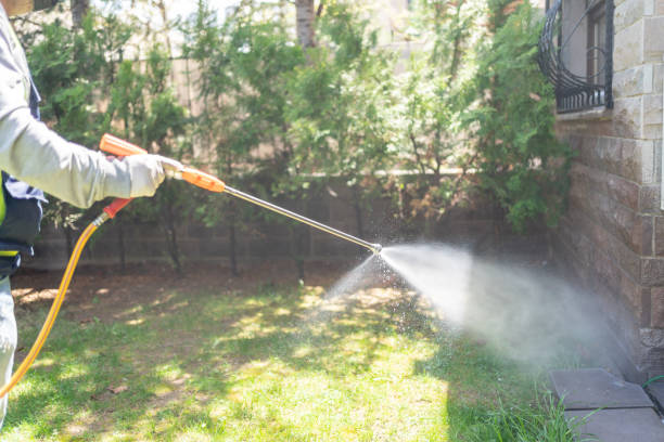 Best Termite Control Services  in Capitol View, SC