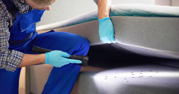Best Wasp Removal Services  in Capitol View, SC